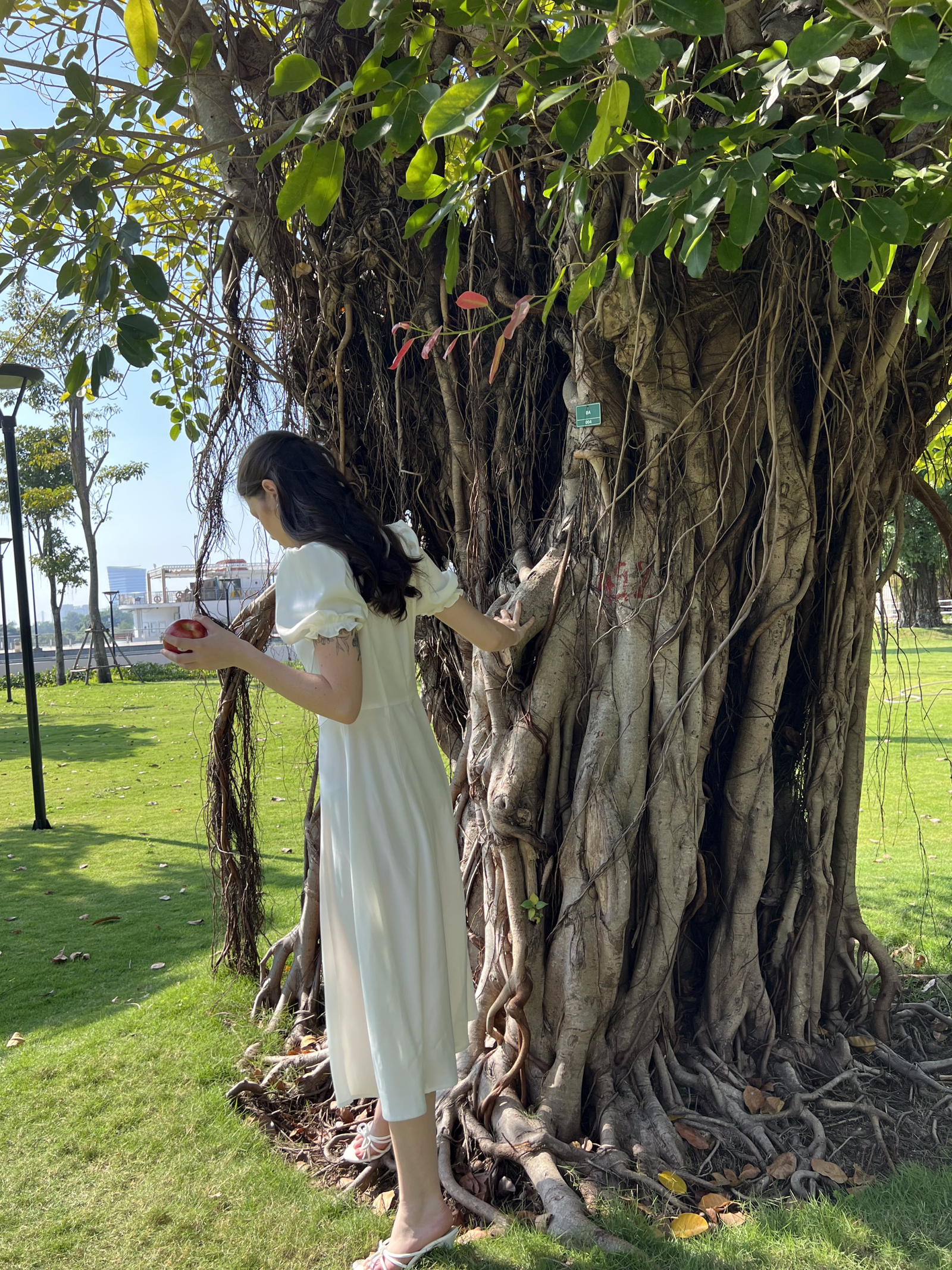 JACLYN DRESS - ALL WHITE EDTION